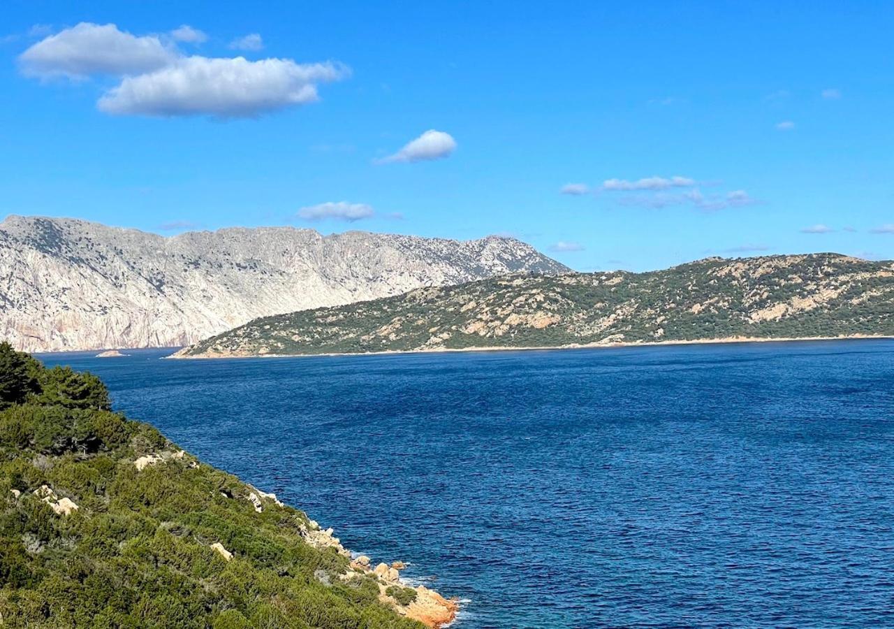 Апартаменти San Teodoro Punta Est Delizioso Monolocale Vista Mare Екстер'єр фото