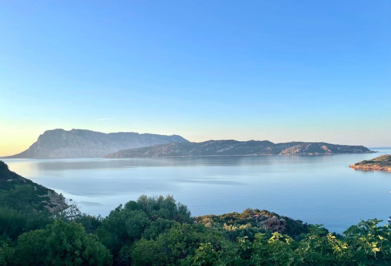 Апартаменти San Teodoro Punta Est Delizioso Monolocale Vista Mare Екстер'єр фото