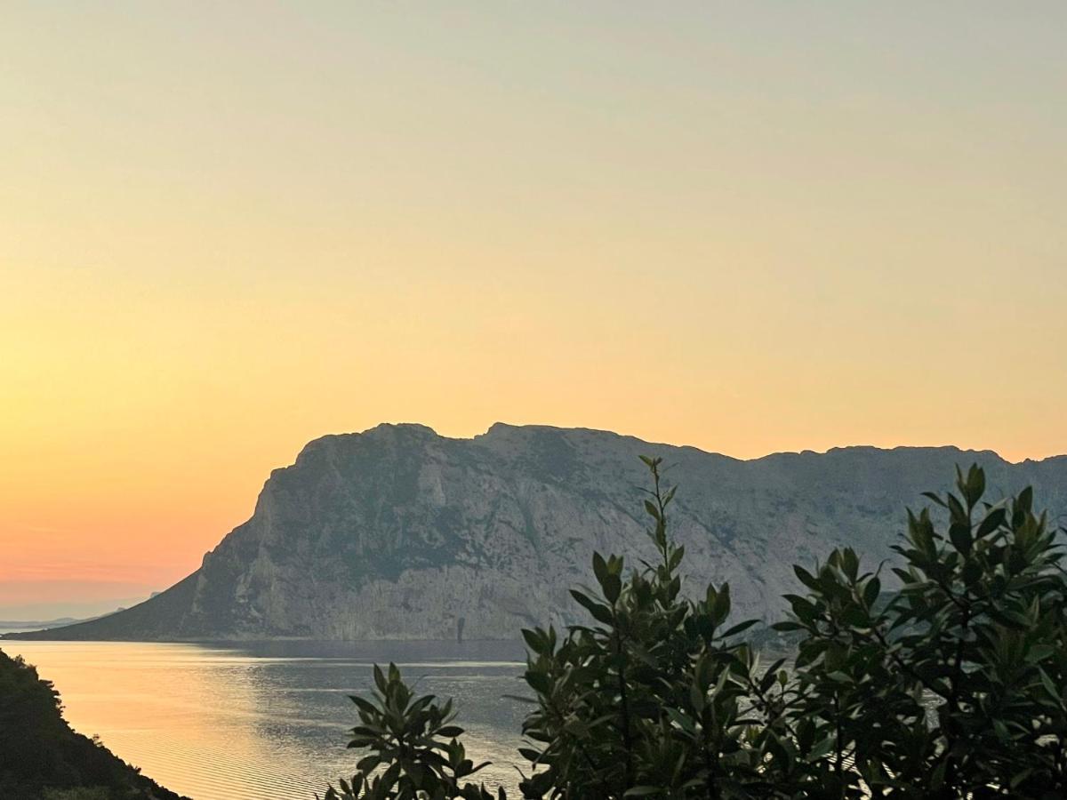 Апартаменти San Teodoro Punta Est Delizioso Monolocale Vista Mare Екстер'єр фото