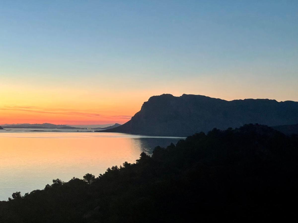 Апартаменти San Teodoro Punta Est Delizioso Monolocale Vista Mare Екстер'єр фото