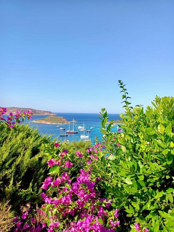 Апартаменти San Teodoro Punta Est Delizioso Monolocale Vista Mare Екстер'єр фото