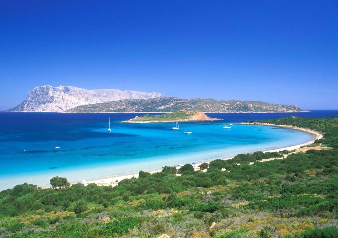 Апартаменти San Teodoro Punta Est Delizioso Monolocale Vista Mare Екстер'єр фото